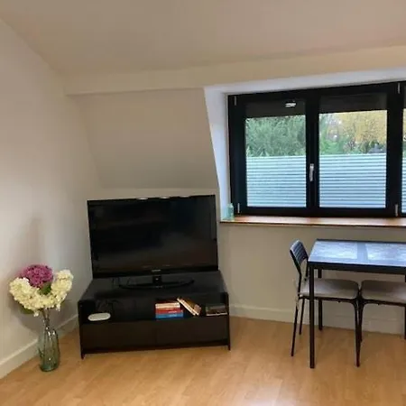 Cozy & Quiet Two-room - 15 Minutes From Lille 아파트 와스칼
